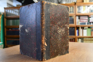 Bericht über die Ausgrabungen in Troja im Jahre...