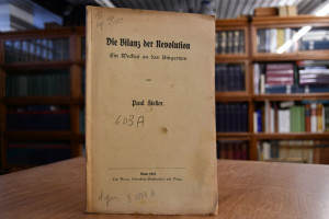 Die Bilanz der Revolution. Ein Weckruf an das B...