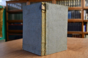 Julius und Evagoras oder Die neue Republik. Ers...