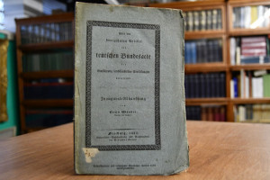 Über den dreizehnten Artikel der deutschen Bund...