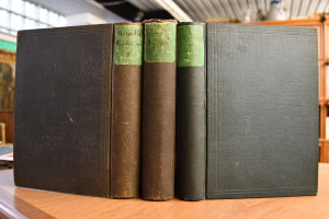 Deutsche Rundschau für Geographie und Statistik...