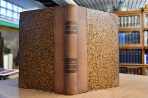 Die Krankheiten des Neugeborenen.