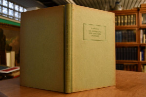 Die Problematik der partiellen Prothese