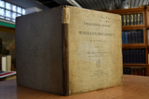 Topographische Anatomie des menschlichen Orbita...