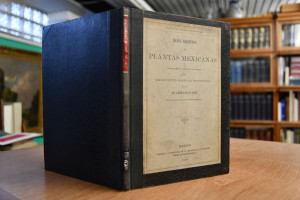 Manual terapeutico de Plantas Mexicanas.