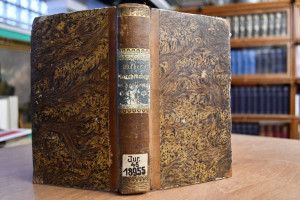 Systematische Darstellung des im Königreiche Sa...