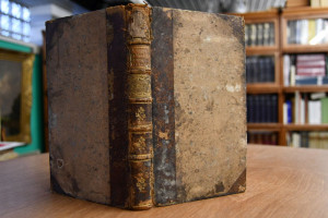 Beiträge zur Kenntniß der Justizverwaltung und ...