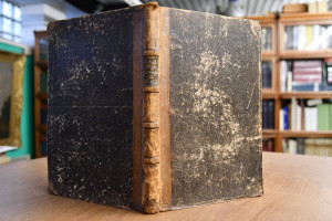 Metrische Studien zu Sophokles.