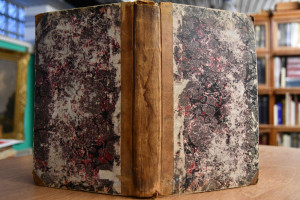 Systematische Darstellung des im Königreiche Sa...