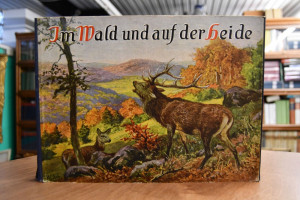 Im Wald und auf der Heide..