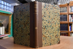 Allgemeine Ästhetik.