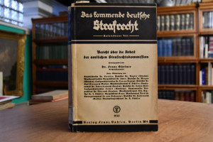 Das kommende deutsche Strafrecht Besonderer Tei...