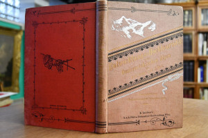 Die Entwicklung der Hochtouristik in den Oester...