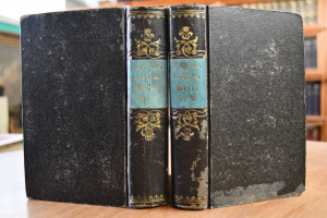 Shakespeares dramatische Werke. Uebersetzt von ...