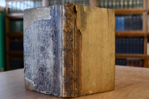 Der Deutsche Kinderefreund, ein Lesebuch für Vo...