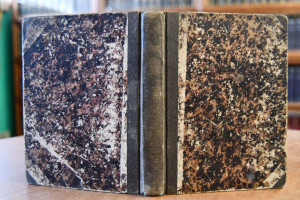 J.F. Castelli`s Gedichte in niederösterreichisc...