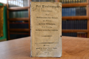 Der Wundervogel. Ein Volksmärchen der Vorzeit m...