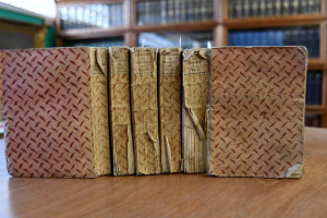 Il Decameron. Tratto dall` ottimo Testo scritto...