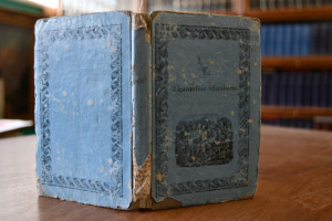 La Chaumiere Irlandaise. Conte destine a la Jeu...