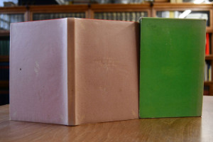 Sibylle und der Papagei. Eine Salzburger Idylle.