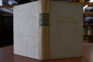 Eine Idee erobert Europa. Meine Lebenserinnerun...