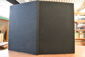 Raumfelder. 10 Holzschnitte.