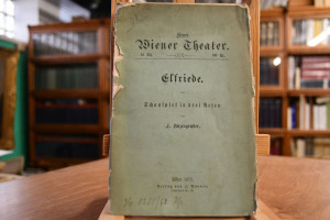 Elfriede. Schauspiel in drei Acten.