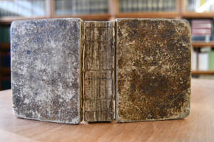 Gedichte. 2 Theile in einem Band.