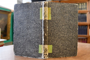 Das Verhältniß des Elementarunterrichts zur Pol...