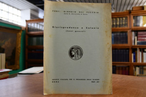 Giurisprudenza e Colonie (Cenni generali).