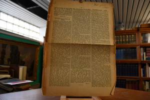 Deutsch-Südwestafrika - deutsch? (Sprachunarten...