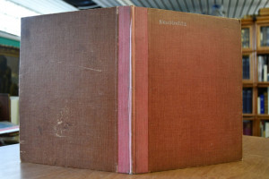 Grossherzogliches Gymnasium Carolinum zu Neustr...