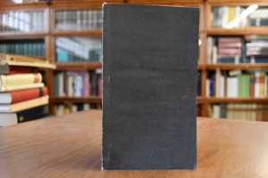 Worte des Trostes und der Hoffnung nach der Bee...