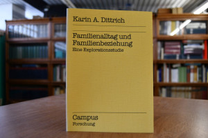 Familienalltag und Familienbeziehung. Eine Expl...