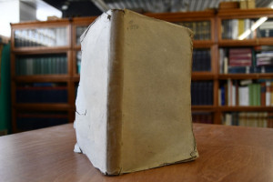 Land- und See-Bilder aus der Gegenwart. II. The...