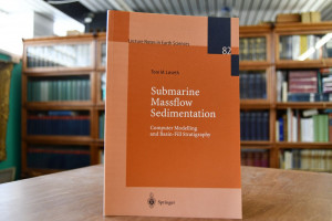 Submarine massflow sedimentation. Computer mode...