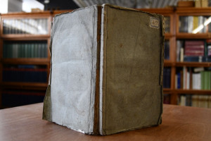 Darstellung der neuesten Theorien und Erfahrung...