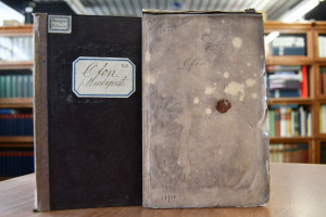 Analyse des Hildegarde-Brunnens zu Ofen.