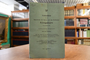 Ueberblick über die Geschichte der Saline und d...