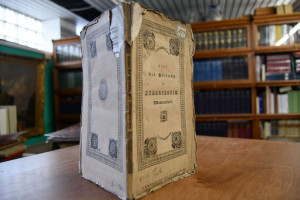 Ueber die Verhütungs- und Heilkur der Hydrophob...