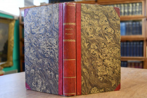 Blätter aus dem Tagebuche eines Früh-Vollendeten.