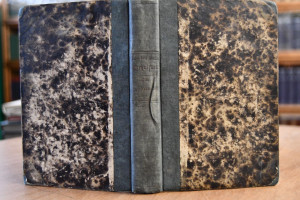 Das Liebhaber-Theater. 2 Theile in einem Band.