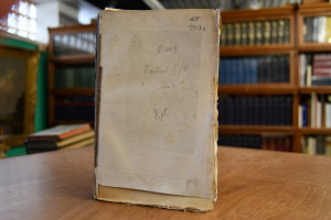 Faust, der große Mann und seine Wanderungen dur...