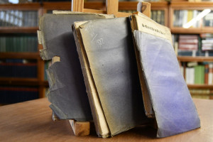 Schattenbilder der Vorzeit. Ein Kranz von Gesch...