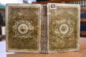 Lilien Taschenbuch historisch-romantischer Erzä...