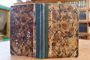 Deutsches Dichter-Album für 1859.