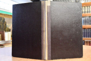 Die italienische Literatur am österreichischen ...