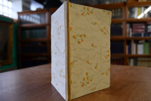 Advokat und Klient oder Fiaker und Sesseltrager...