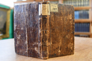 Tractatus varii de Pulicibus, Quorum Primus exh...