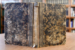 Fröhlich Pfalz, Gott erhalts!